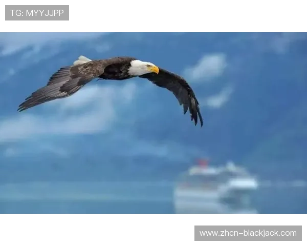 二十一点游戏中的心理战术与玩家心理分析,掌握心理优势赢得更多胜利 二十一点游戏中的心理战术与玩家心理分析,掌握心理优势赢得更多胜利