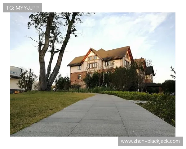 优质玩21的游戏平台排行榜，安全稳定的环境让你尽情享受21点对战