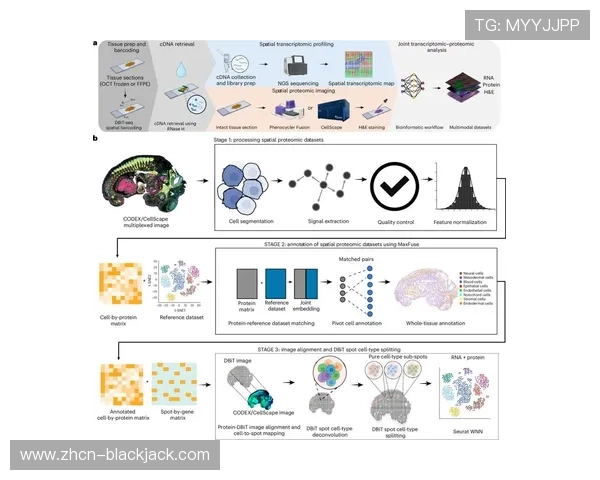 决胜21点评价游戏未来发展方向与改进空间的专业建议